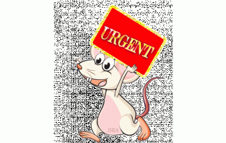 Formations Stages 2018-2019