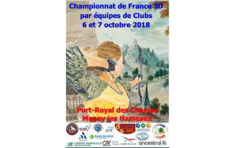 Championnat de France 3D par équipes de clubs
